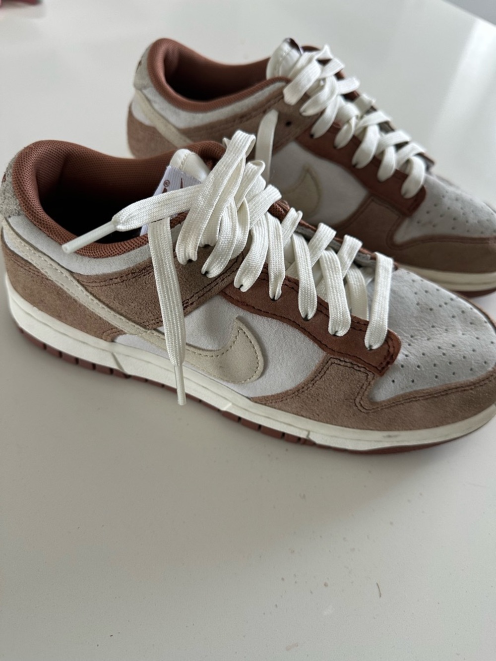 Nike Men’s /youth size (6.5) Dunk Low-Top Sneakers in Brown and White
